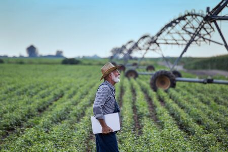 Senior farmer with laptop standing in front of irrigation system in soybean fieldの写真素材