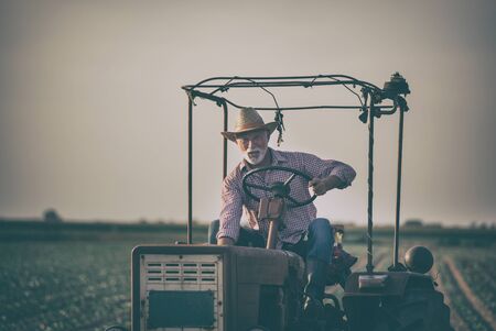 Senior farmer driving old vintage tractor in fieldの写真素材