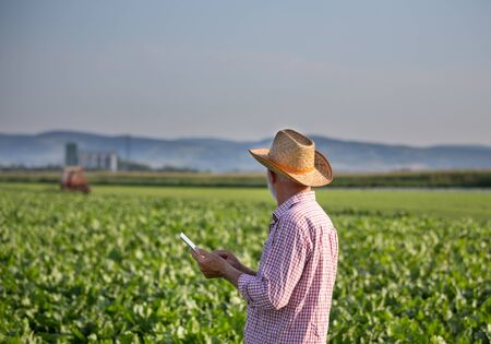 Senior farmer with hat standing in soybean field and holding tablet. Tractor spraying crops in backgroundの写真素材