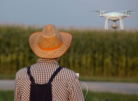 Rear view of farmer with straw hat driving drone in corn field in summer time