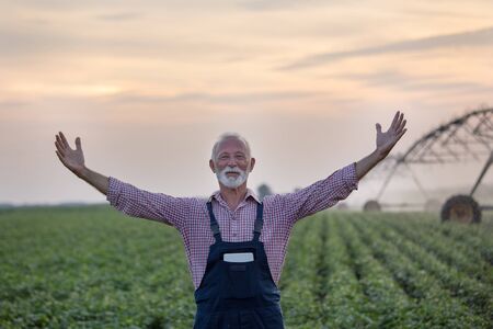 Happy senior farmer standing with raised arms in front of field with irrigation systemの写真素材