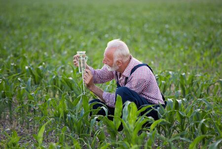 Senior farmer squatting beside rain gauge in corn field