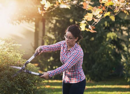Pretty young woman trimming hedge in garden in autumn