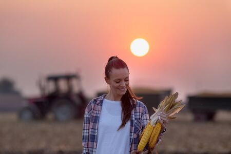 Satisfied farmer woman holding corn cobs in front of tractor with trailers during harvestの写真素材
