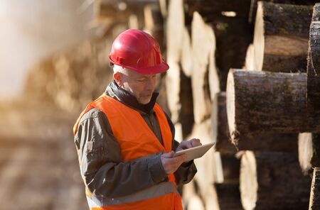 Portrait of mature engineer working on tablet beside tree trunks