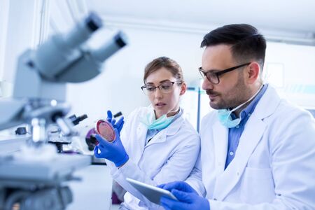 Two biologist man and woman looking at samples in petri dishes and talking in laboratory
