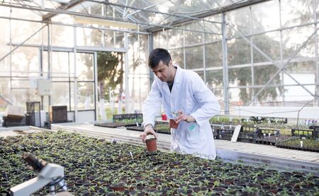 Agronomist in white coat taking care of seedlings in greenhouse