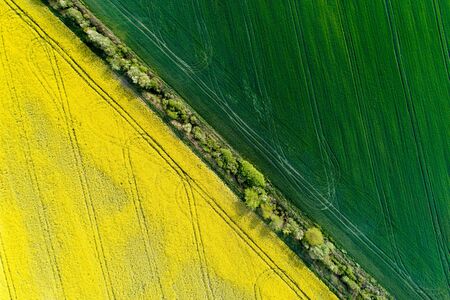 Aerial image of agricultural field with different cultures and colors in geometric shapeの写真素材