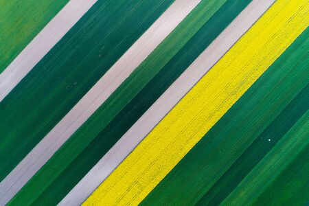Aerial image of agricultural field with different cultures and colors in geometric shapeの写真素材