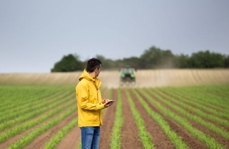 Handsome farmer with tablet standing in corn field in front of tractor in springtimeの写真素材