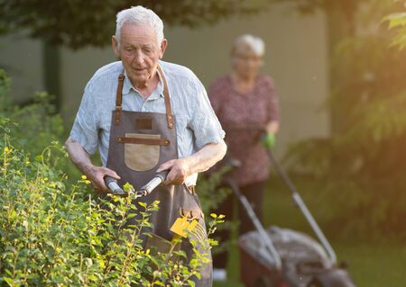 Senior man working in garden, trimming hedge with scissors while woman mowing lawn in background