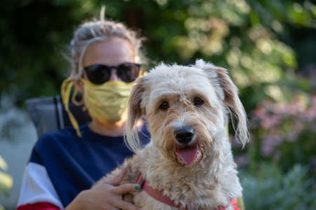 Close up of cute dog sitting in lap of owner, girl with facial mask, in garden