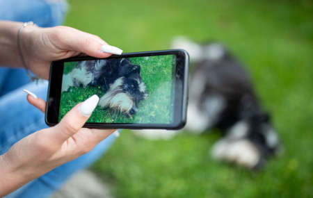 Close up of teenage girl taking shots of her dog lying on lawn with mobile phone, image on display