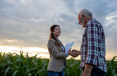 Senior man farmer shaking hands with young pretty woman with notebook in corn field. Insurance in agribusiness conceptの写真素材