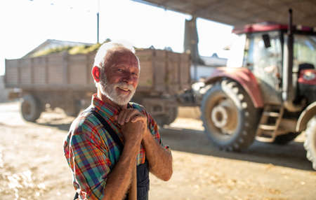 Portrait of mature adult farmer standing in front of tractor with trailer full of lucerne feed for cattleの写真素材