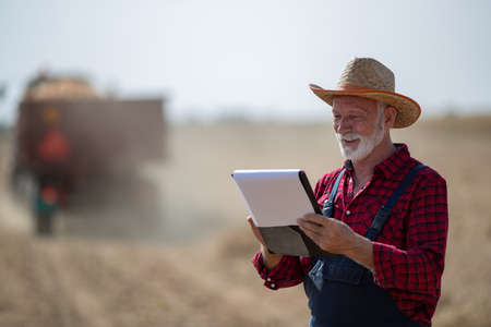 Portrait of senior farmer with straw hat looking at notes in front of tractor with trailer working in corn field during harvest timeの写真素材