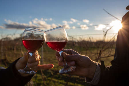 Close up of male's hands toasting with glasses of red wine in vineyard in winter timeの写真素材