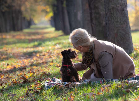 Senior woman with cute dog sitting on blanket in forest in autumn timeの写真素材