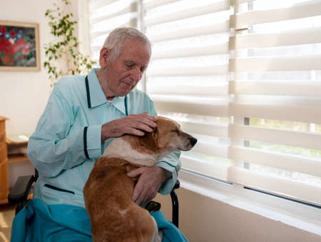 Senior man in pajamas sitting in chair beside window and petting his dog in lapの写真素材