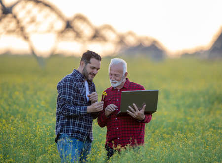 Farmers standing in rapeseed field looking at flower examining showing. Two men using laptop smiling. Center pivot irrigation technology in agriculture.の写真素材