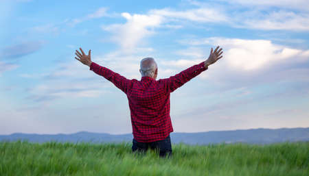 Rear view of senior farmer standing in barley field with raised hand. Happiness and freedomの写真素材