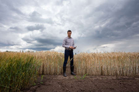 Businessman agronomist making eye contact with camera. Farmer standing in wheat barley grain field...