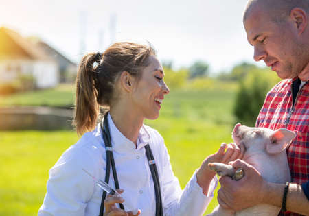 Female veterinarian smiling holding injection petting piglet.  Make farmer holding pig on ranch...