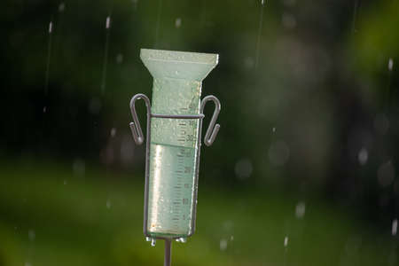 Close up of plastic rain gauge on rainstorm in garden in summertimeの写真素材