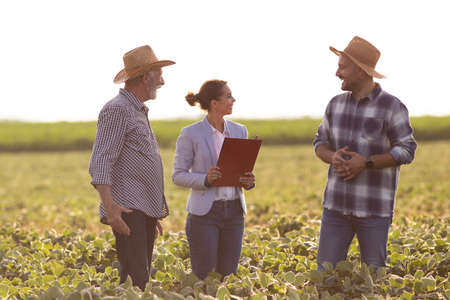 Young female agronomist holding clipboard smiling. Two male farmers negotiating with insurance sales...