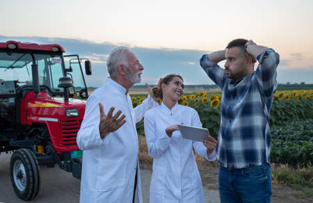 Two agronomists in white coats discussing with young farmer in front of tractor and sunflower field in summer timeの写真素材