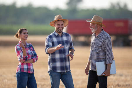 Group of farmers standing in field and talking during harvest in summer time with tractor and trailer in backgroundの写真素材