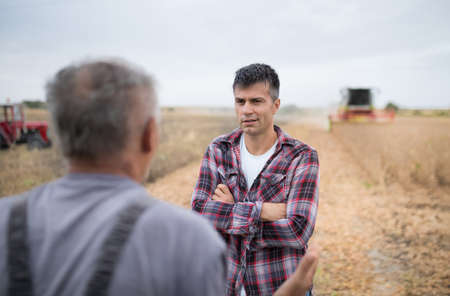 Two farmers standing in soyfield during harvest and talking. Younger man smiling and holding arms crossedの写真素材