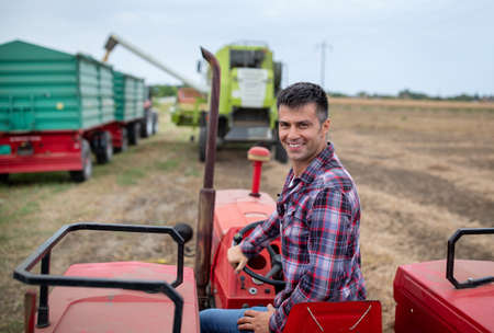 Rear view of handsome farmer driving tractor and looking over shoulder in front of combine harvester and trailer on soy field in late summerの写真素材