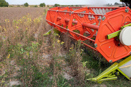 Close up of combine harvester header harvesting soy crop in field in late summer timeの写真素材