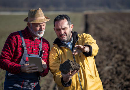 Two farmers checking soil quality in field, senior man holding tablet, while younger looking at lump of earthの写真素材