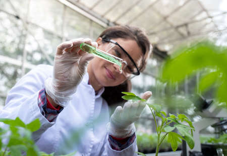 Young pretty woman agronomist applying chemicals to sprout leaf for plant protection research in...