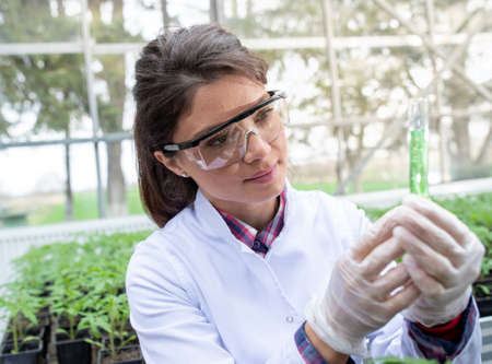 Young pretty woman agronomist preparing chemicals in test tube for experiment on seedling and soil in greenhouseの写真素材