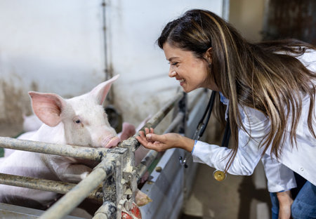 Young pretty woman veterinarian cuddling piglet in pig pen on farmの写真素材