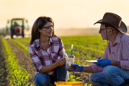 Two agronomists young woman and senior man experimenting with chemicals on soil in corn field in...