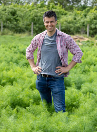 Handsome man agronomist standing in anise field and monitoring plant growthの写真素材