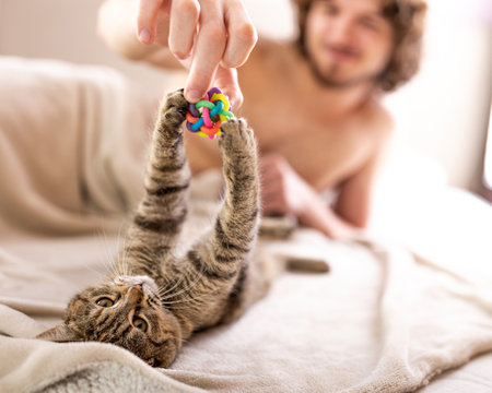Young man playing with his small cat in bedの写真素材