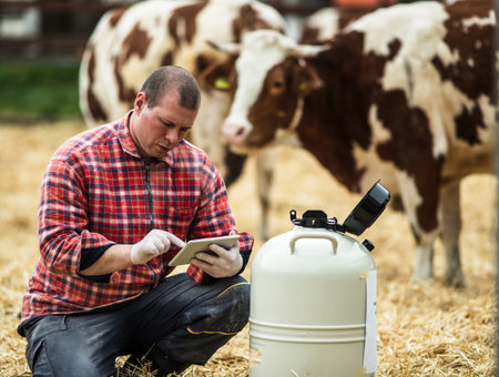 Farmer working on tablet beside liquid nitrogen tank for bull sperm for artificial insemination of cows on dairy ranchの写真素材