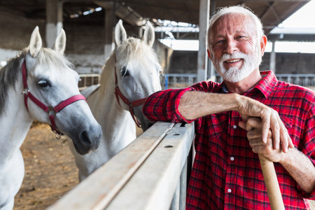 Portrait of senior farmer leaning on fence of white horses lipizzaner stableの写真素材