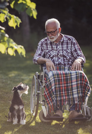 Senior man sitting in wheelchair in park and looking at his lovely dog. Pet therapyの写真素材