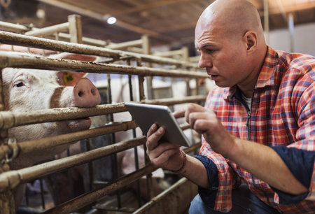 Farmer crouching and holding tablet in front of pigs in pigpenの写真素材