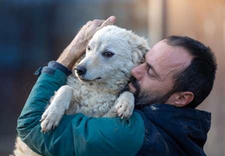 Lovely moment when mature man holding and hugging cute abandoned dog in shelter. Love, care and tendernessの写真素材