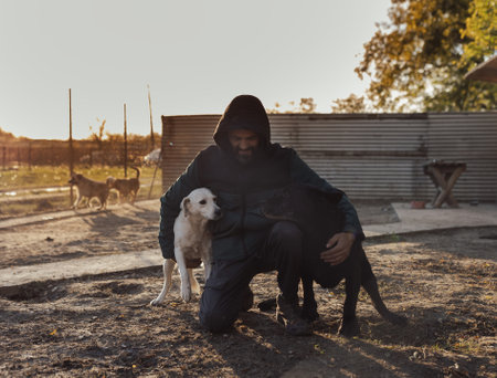 Mature man crouching with group of dogs in shelter and petting themの写真素材
