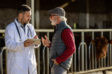 Veterinarian and mature farmer talking in front of cattle in cowshedの写真素材