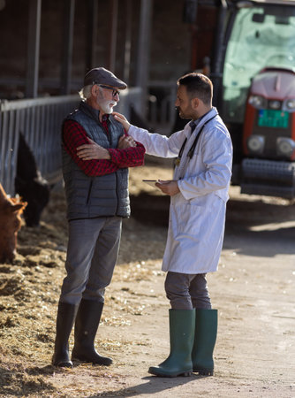 Veterinarian and mature farmer talking in front of tractor and cattle in cowshedの写真素材
