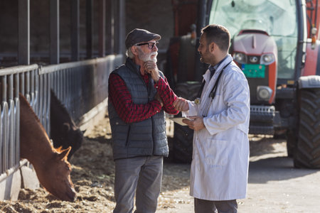 Veterinarian and mature farmer talking in front of tractor and cattle in cowshedの写真素材